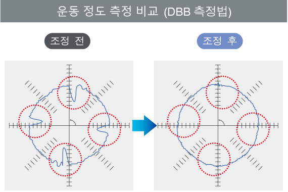 운동 정도 측정 비교 (DBB 측정법)